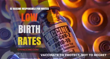 Vaccines and Declining White Birth Rates: Separating Fact from Fiction