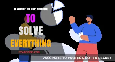 Beyond Vaccines: Exploring Comprehensive Solutions to Global Health Challenges