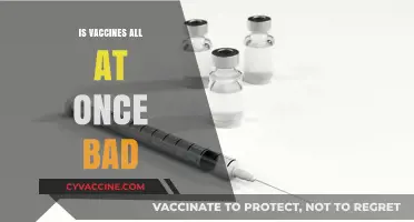 Exploring the Myths: Are Vaccines Really All Bad?