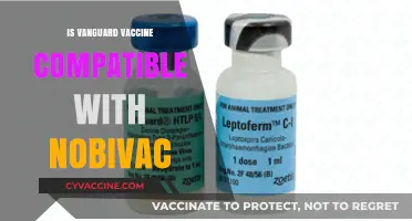 Vanguard vs. Nobivac: Compatibility and Safety for Your Pets