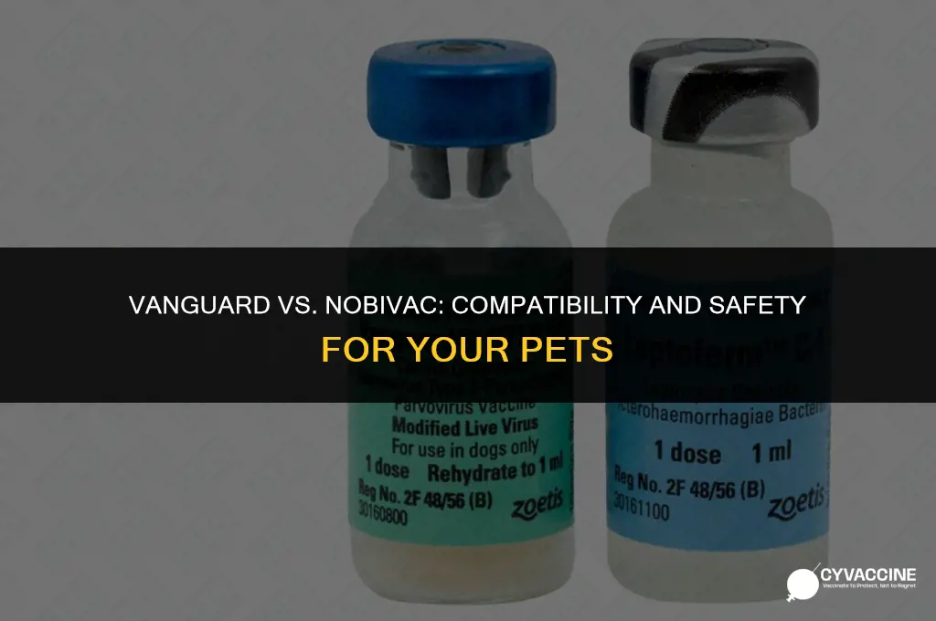 is vanguard vaccine compatible with nobivac