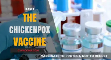 Unraveling the Facts: Is Varicella the Chickenpox Vaccine?