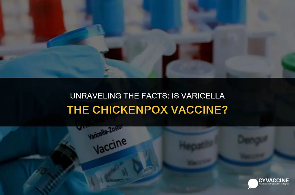 is var 1 the chickenpox vaccine