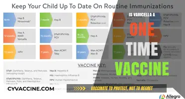 Varicella Vaccine: Is It a One-Time Shot or Do We Need More?