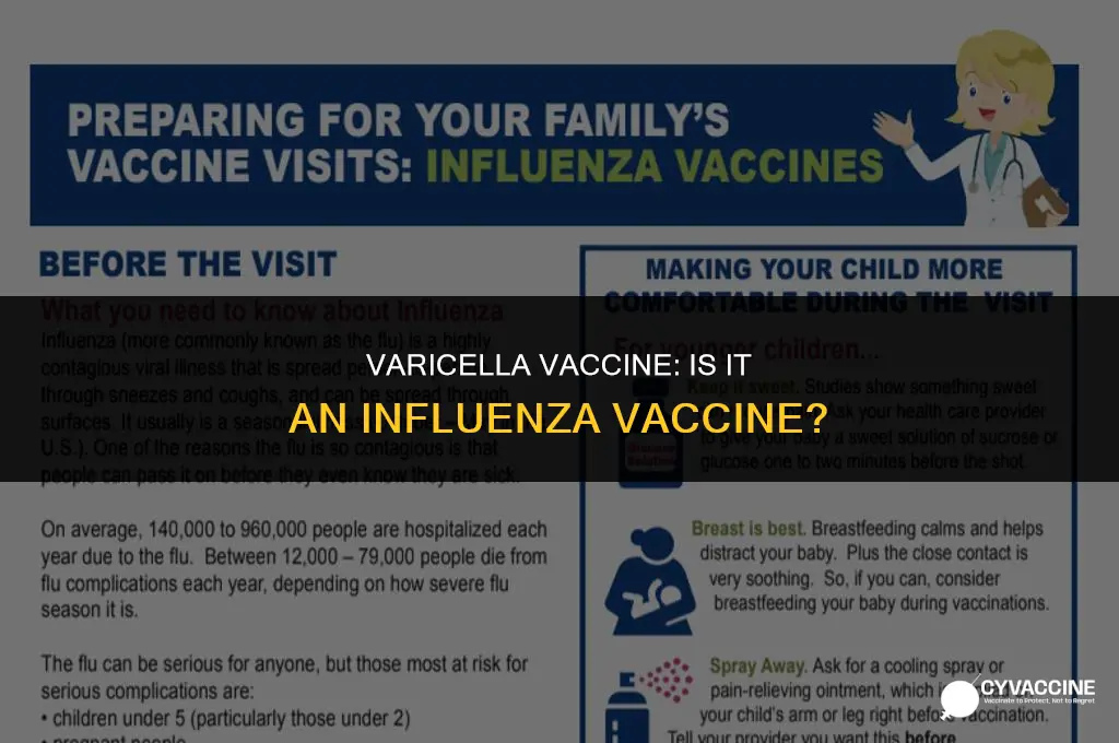 is varicella considered an influenza vaccine