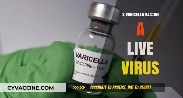Is the Varicella Vaccine a Live Virus? Facts and Safety Explained