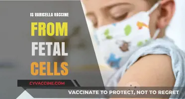Unraveling the Varicella Vaccine Myth: No Fetal Cells Involved