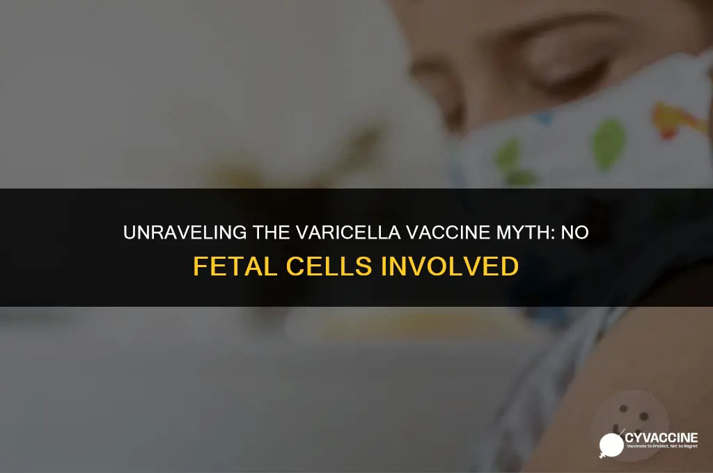 is varicella vaccine from fetal cells