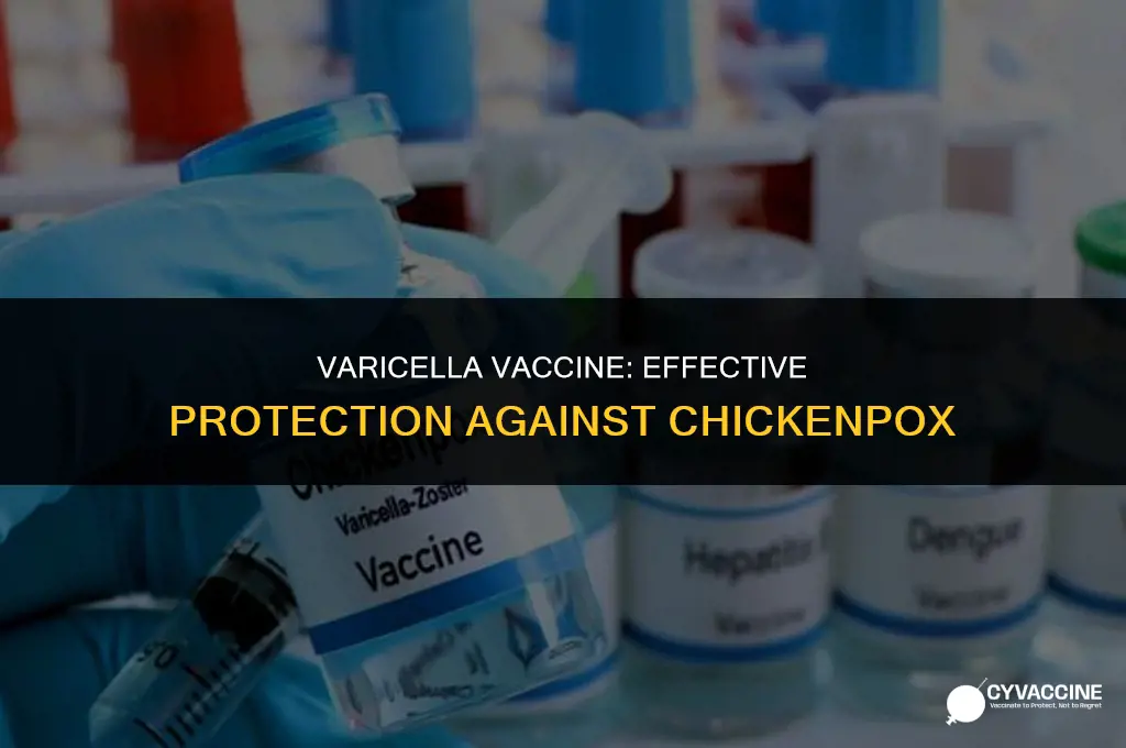 is varicella vaccine good for chickenpox