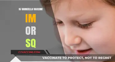 Varicella Vaccine Administration: Intramuscular or Subcutaneous?