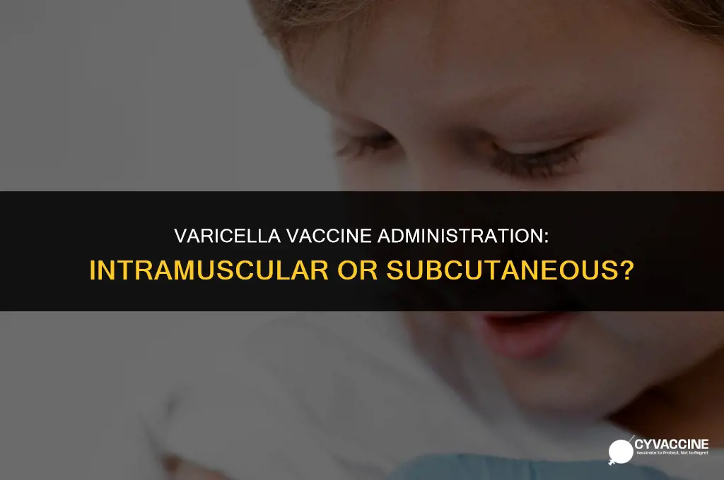 is varicella vaccine im or sq