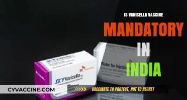 Varicella Vaccine Mandate in India: A Comprehensive Overview