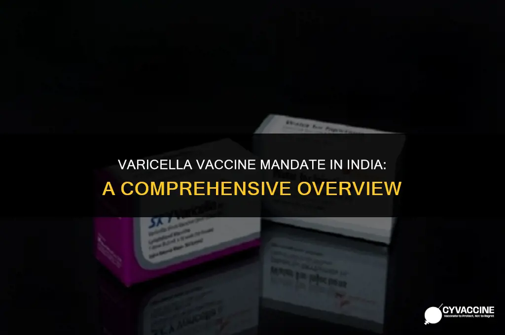 is varicella vaccine mandatory in india