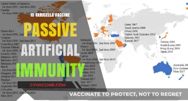 Varicella Vaccine: Unraveling the Myths of Passive Artificial Immunity