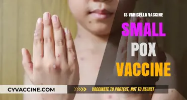 Varicella Vaccine vs. Smallpox Vaccine: Understanding the Differences