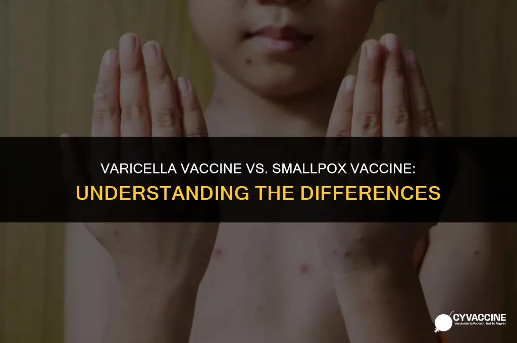is varicella vaccine small pox vaccine