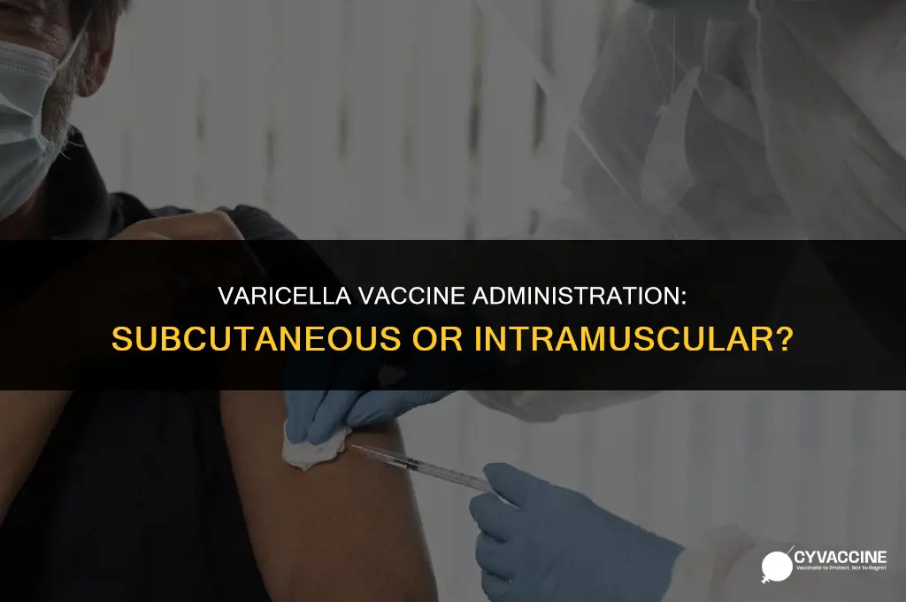 is varicella vaccine subcutaneous or im