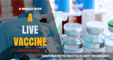 Understanding Varicella Zoster: The Facts About Live Vaccines