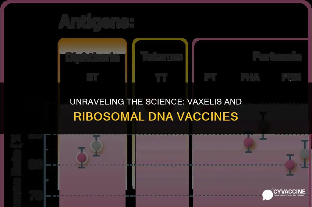 is vaxelis a ribosomal dna vaccine