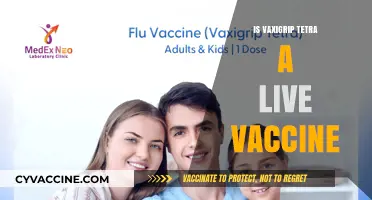 Understanding Vaxigrip Tetra: Is It a Live Vaccine?
