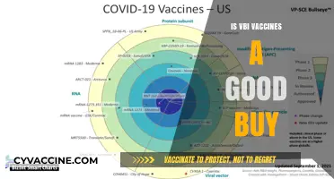 Exploring the Value of VBI Vaccines: A Comprehensive Analysis