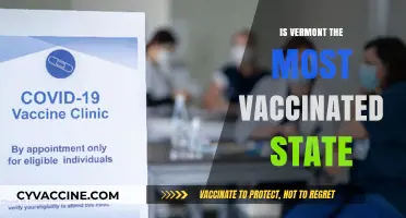 Vermont's Vaccination Victory: Leading the Nation in Immunization Rates
