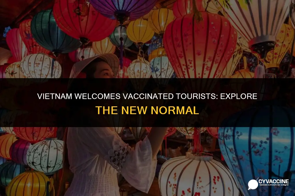 is vietnam open to vaccinated tourists