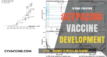 Viral Evolution vs. Vaccine Development: A Race Against Time