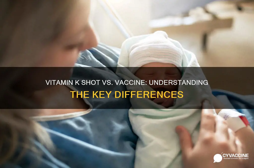 is vitamin k shot a vaccine