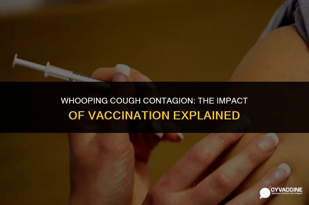 is whooping cough contagious if vaccinate
