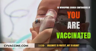 Whooping Cough Contagious Post-Vaccination: What You Need to Know