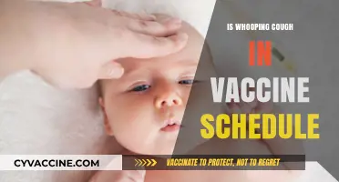Whooping Cough Vaccination: Schedule, Importance, and Protection for All Ages