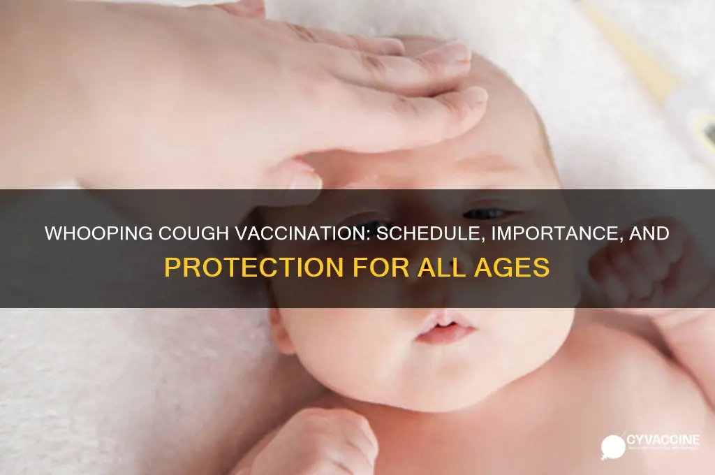 is whooping cough in vaccine schedule