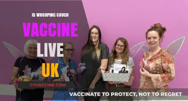 Understanding the Whooping Cough Vaccine in the UK: Live or Inactivated?