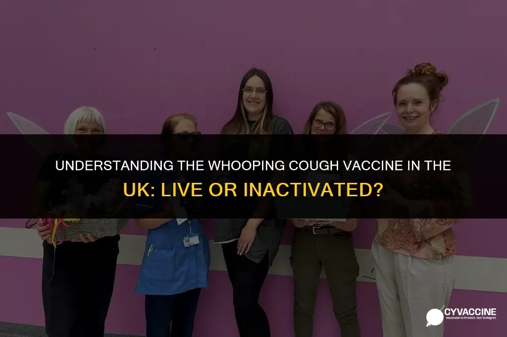 is whooping cough vaccine live uk
