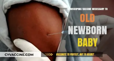 Is Whooping Cough Vaccine Essential for Older Newborns? Key Insights
