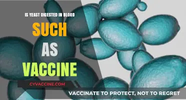 Can Yeast in Vaccines Be Digested in the Bloodstream?