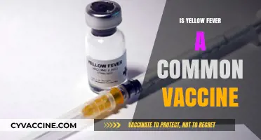Understanding Yellow Fever Vaccination: Commonality and Importance