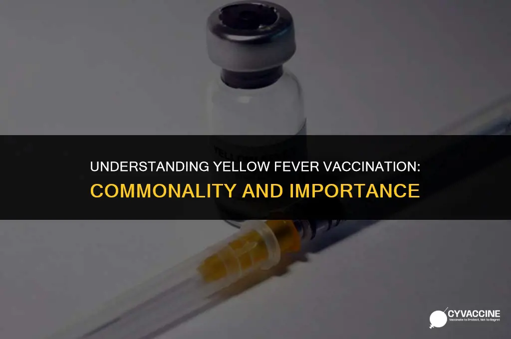 is yellow fever a common vaccine