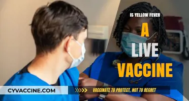 Is Yellow Fever Vaccine Live? Understanding Its Composition and Effectiveness