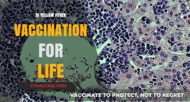 Lifelong Immunity: The Truth About Yellow Fever Vaccination