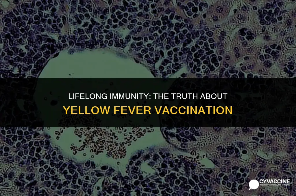 is yellow fever vaccination for life