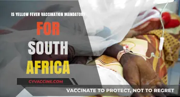 Is Yellow Fever Vaccination Required for South Africa Travel?