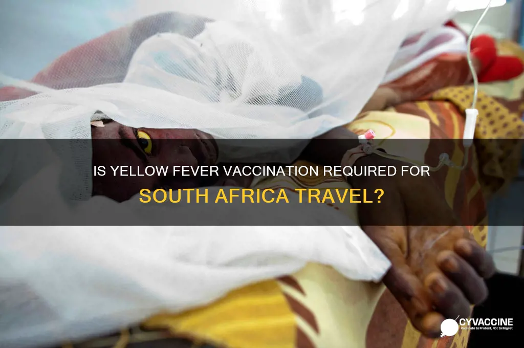is yellow fever vaccination mandatory for south africa