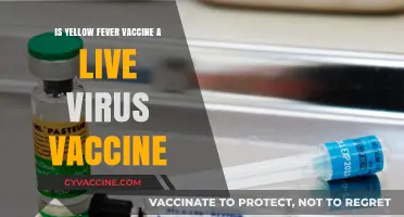 Is Yellow Fever Vaccine a Live Virus? Facts and Insights