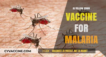 Debunking Myths: Yellow Fever Vaccine and Malaria Protection