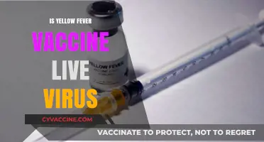 Understanding Yellow Fever Vaccine: Live Virus or Not?
