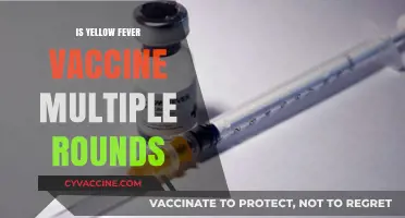 Understanding Yellow Fever Vaccination: Is It a One-Time Shot or Multiple Rounds?
