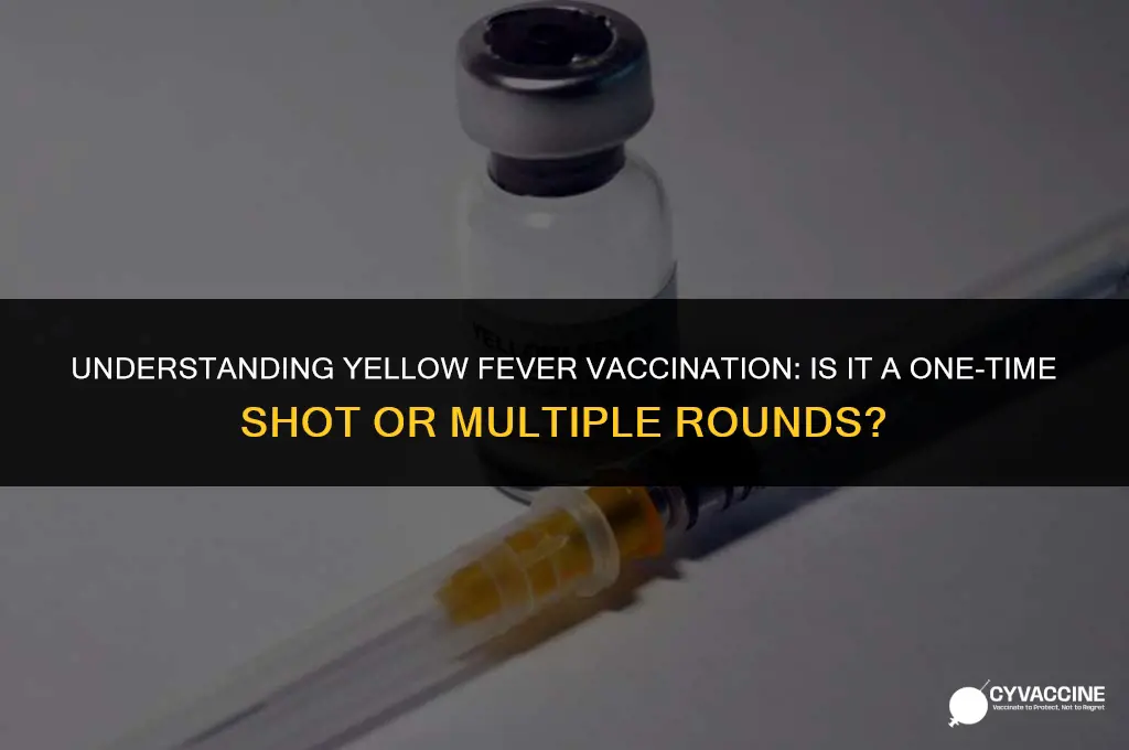 is yellow fever vaccine multiple rounds