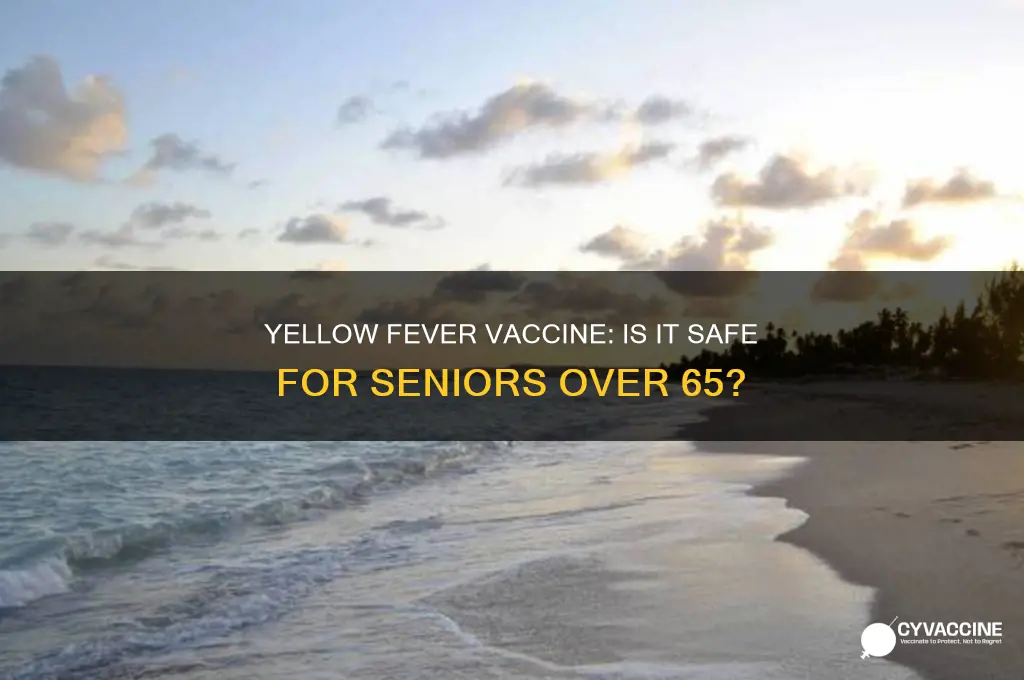 is yellow fever vaccine recommended for those over 65